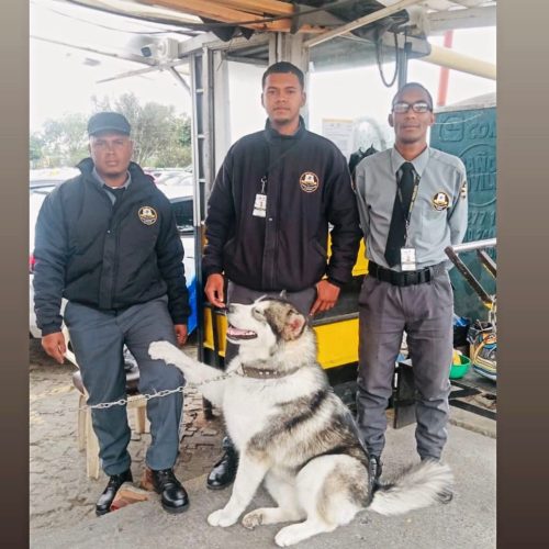 funcionarios con perro